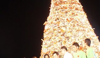 Pagpapailaw ng Christmas Tree, hudyat ng Kapaskuhan sa Tutuban Center