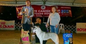 Crosswinds Swiss Luxury Resort is the  dog-friendly resort in Tagaytay