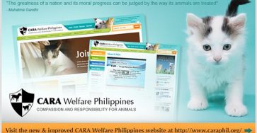 CARA Welfare Philippines re-launches website