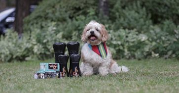 At-Home Pet Grooming Tips for Fur Parents