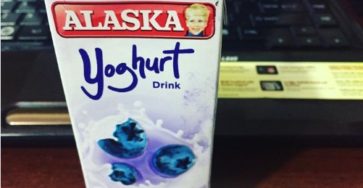 Alaska Yoghurt Blueberry Drink