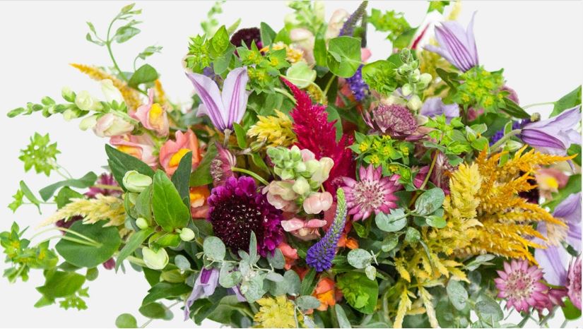 Amazing and affordable flowers and plants in the community