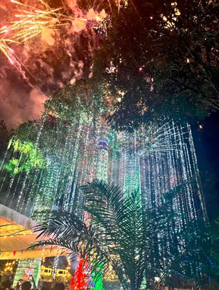 Estancia de Lorenzo Kicks Off Christmas Season with Dazzling Village Lighting